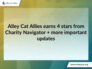 Alley Cat Allies earns 4 stars from Charity Navigator   more important updates