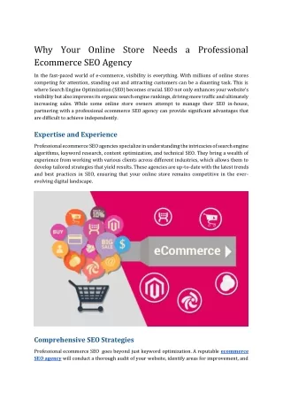 Why Your Online Store Needs a Professional Ecommerce SEO Agency