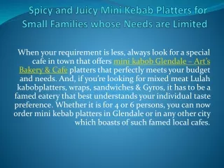 Spicy and Juicy Mini Kebab Platters for Small