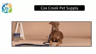 Release Your Dog's Freedom: Cox Creek Pets sells premium dog leashes online