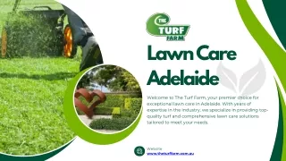 Lawn Care Adelaide--The Turf Farm