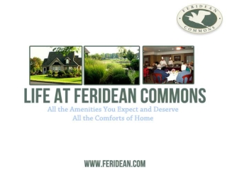 Life At Feridean Commons