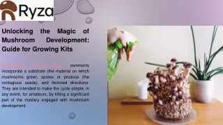 Unlocking the Magic of Mushroom Development Guide for Growing Kits