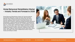 Global Behavioral Rehabilitation Market
