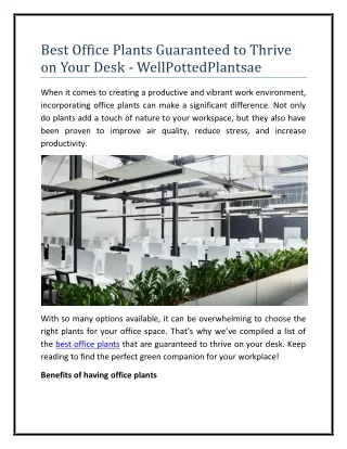 Best Office Plants Guaranteed to Thrive on Your Desk - WellPottedPlantsae