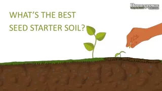 What is the Best Seed Starter Soil?