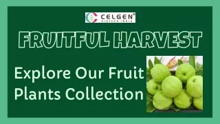 Buy Grafted Fruit Plants Online at Celgen Biotech