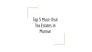 Top 5 Must-Visit Tea Estates in Munnar