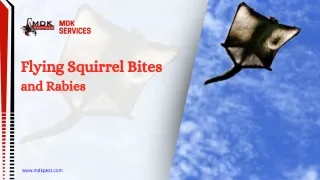 Flying Squirrel Bites and Rabies