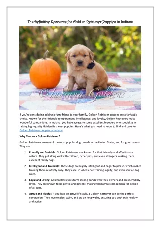 The Definitive Resource for Golden Retriever Puppies in Indiana