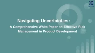 White Paper on Effective Risk Management