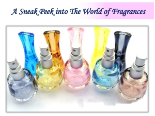 A Sneak Peek into The World of Fragrances