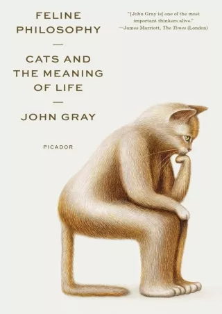 read❤ Feline Philosophy