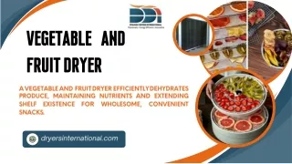 Vegetable And Fruit Dryer