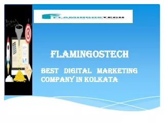 FLAMINGOSTECH - Best Digital Marketing Company in Kolkata