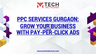 techmetronix-Pay-per-click-service-provider-in-gurgaon