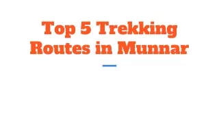 Top 5 Trekking Routes in Munnar