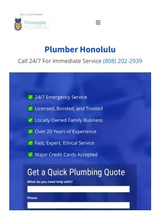Pineapple Plumbing - Honolulu