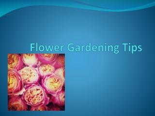 Flower gardening tips