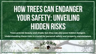 How Trees Can Endanger Your Safety: Unveiling Hidden Risks