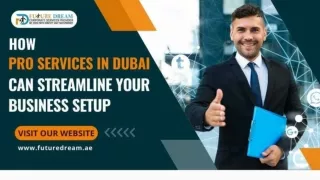 How PRO Services in Dubai Can Streamline Your Business Setup