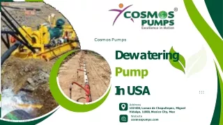 Dewatering Pump In USA