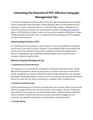 Unleashing the Potential of PPC: Effective Campaign Management Tips
