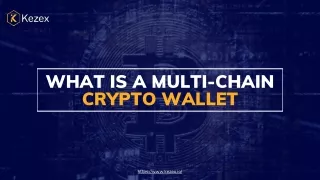 What is a multi-chain crypto wallet