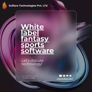 White label fantasy Sports Software