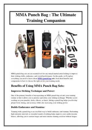 MMA Punch Bag  The Ultimate Training Companion