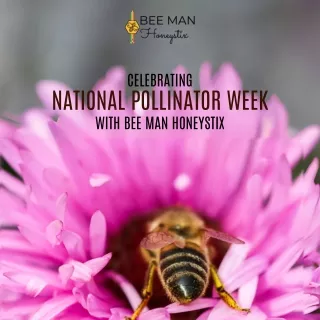 Celebrating National Pollinator Week with Bee Man Honeystix