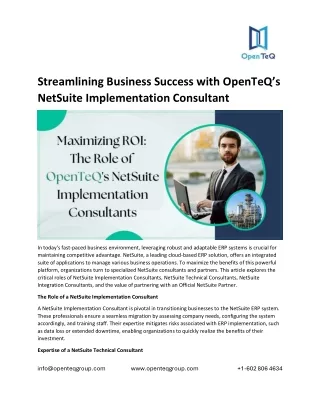 Streamlining Business Success with OpenTeQ’s NetSuite Implementation Consultant