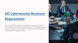 SEC Cyber Disclosure Rules - Essert Inc