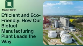 Efficient and Eco-Friendly How Our Biofuel Manufacturing Plant Leads the Way