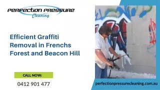Efficient Graffiti Removal in Frenchs Forest and Beacon Hill