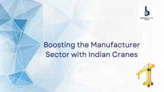 Boosting the Manufacturer Sector with Indian Cranes