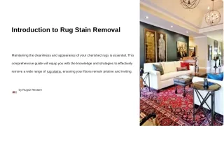 Rug Stain Removal