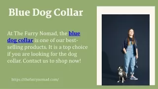 Blue Dog Collar