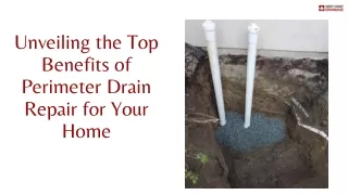 Unveiling the Top Benefits of Perimeter Drain Repair for Your Home