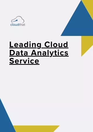 Leading Cloud Data Analytics Service providing cutting-edge big data analytics