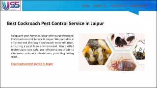 Best Cockroach Pest Control Service in Jaipur