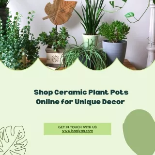 Shop Ceramic Plant Pots Online for Unique Decor