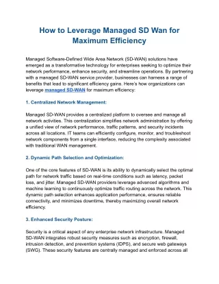 How to Leverage Managed SD Wan for Maximum Efficiency