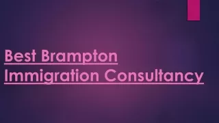 Best Brampton Immigration Consultancy