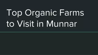 Top Organic Farms to Visit in Munnar