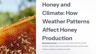 Honey and Climate_ How Weather Patterns Affect Honey Production