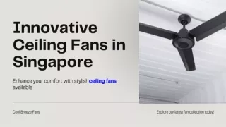 Innovative Ceiling Fans in Singapore