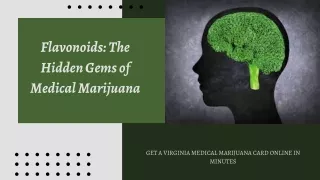 Flavonoids The Hidden Gems of Medical Marijuana