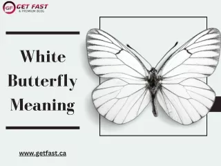 White Butterfly Meaning