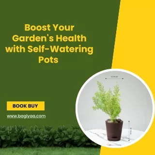 Boost Your Garden's Health with Self-Watering Pots